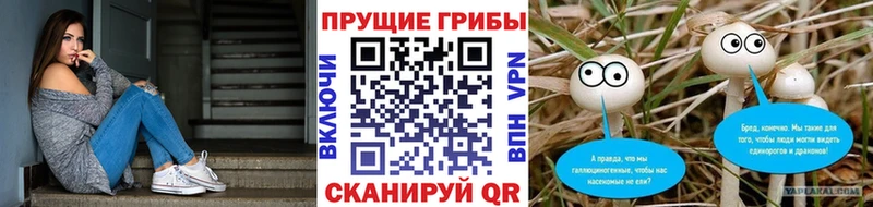 Псилоцибиновые грибы Cubensis  купить наркотик  Алейск 
