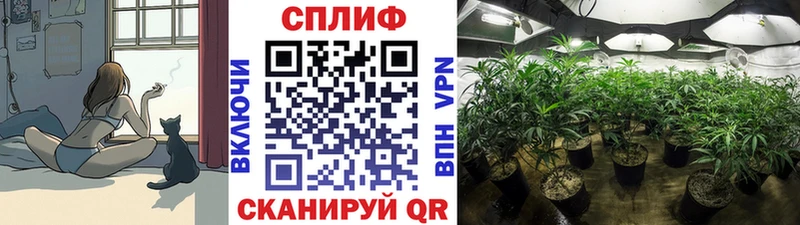 купить наркотики сайты  blacksprut как войти  Каннабис Bruce Banner  Алейск 